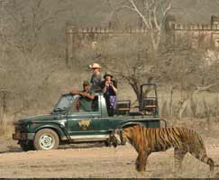 Bharatpur Vacation Package