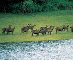 Bharatpur Tourism Package