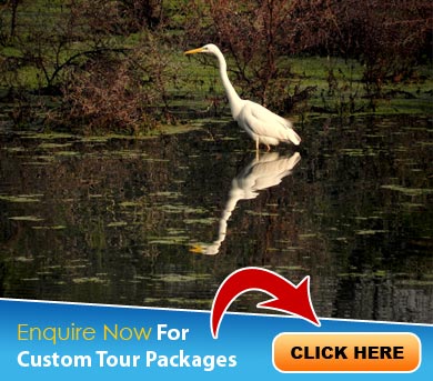 Bharatpur Tour Packages